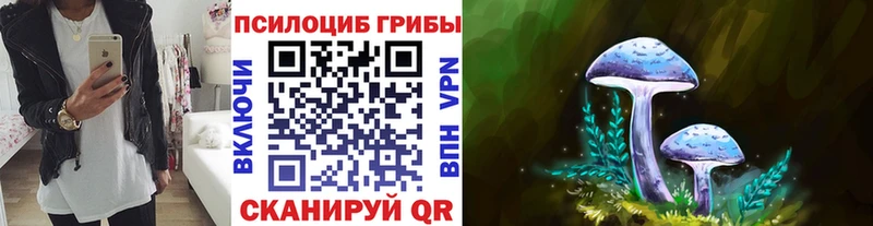 где купить наркотик Дзержинск Галлюциногенные грибы GOLDEN TEACHER